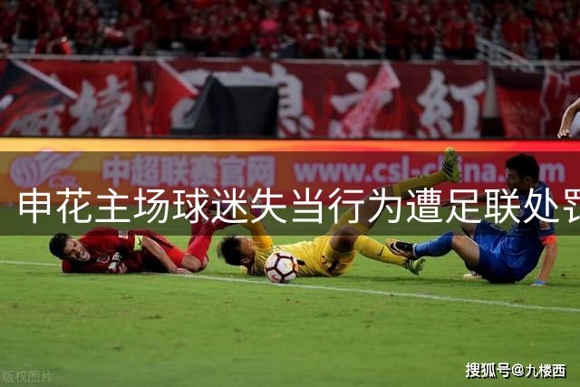 申花主场球迷失当行为遭足联处罚，小球迷事件引发争议