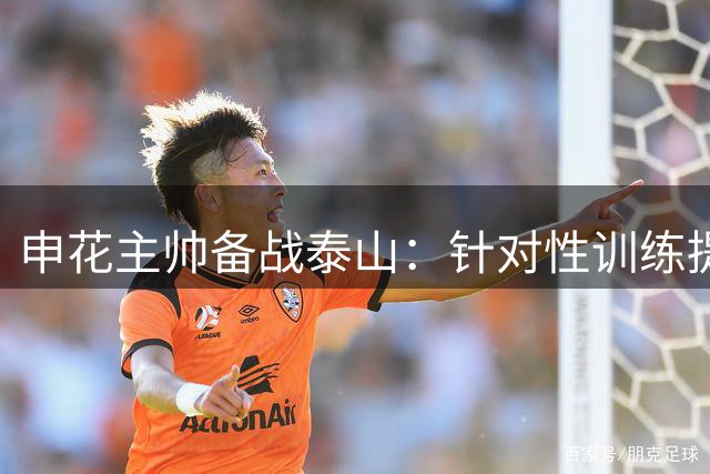 申花主帅备战泰山：针对性训练提升战斗力